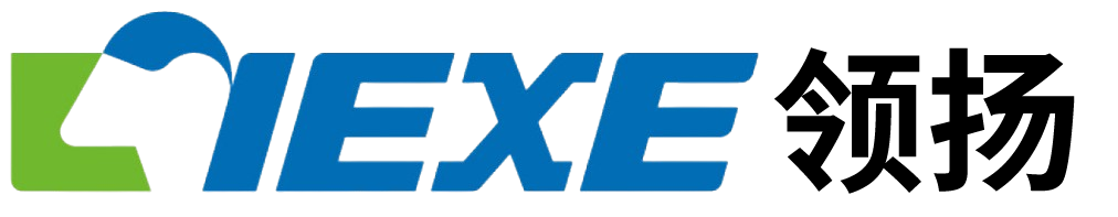 领扬电子科技（武汉）有限公司